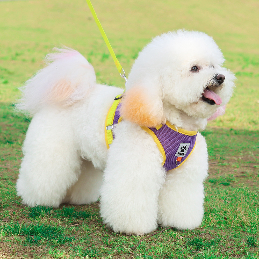 pet harness