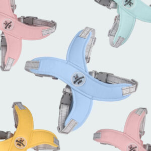 colorful dog pulling harness