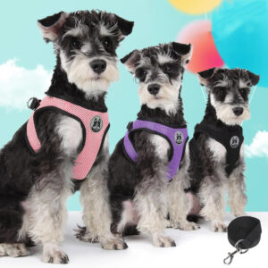 style Dog Harness Gooby 