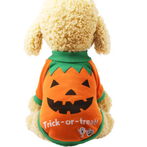 holiday dog clothes​

