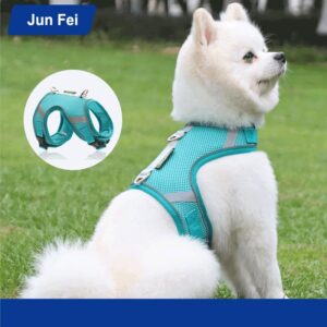 light blue Designer Dog Harness