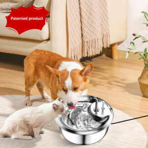 Stainless Steel Dog Drinking Fountain