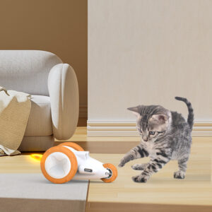 Remote Mouse Cat carToy