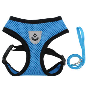 BLUE XXX Small Dog Harness