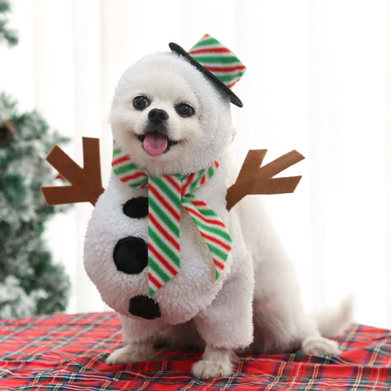 Christmas dog clothes