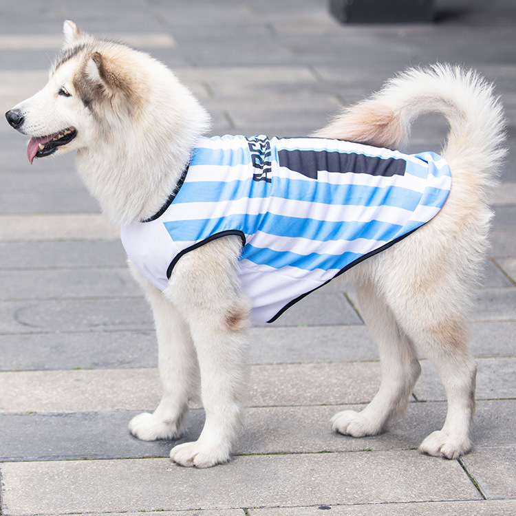 summer dog shirt