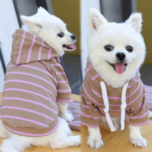 small Dog Hoodies 