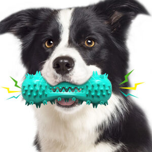 Best Dog Toys For Aggressive Chewers
