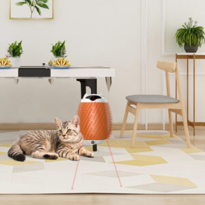 orange Spinning Cat Toy