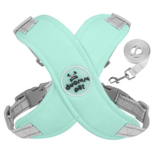 lightblue Dog Pulling Harness