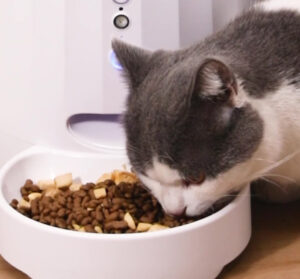 Smart Life Pet Feeder​ 