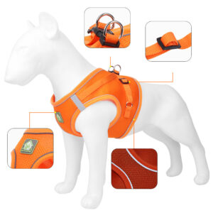 details Dog Harness