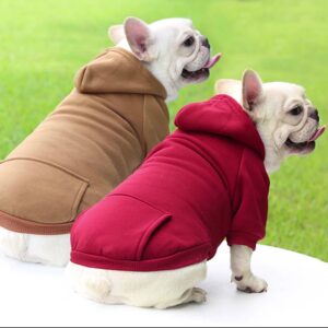  Dog hoodie 