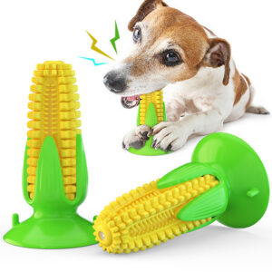 dog chew toy