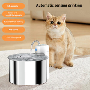 stainless steel Cat Fountain