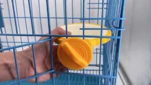 yellow Dog Cage Water bowl​