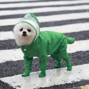 green Weenie Dog Raincoat​