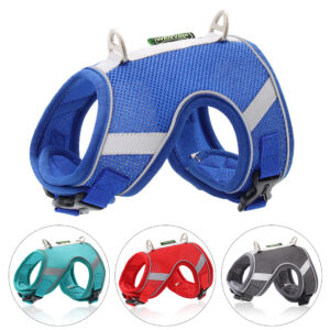 colorful Designer Dog Harness