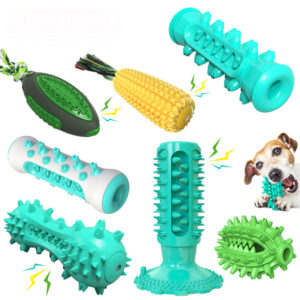 dog rubber toy