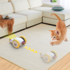 Remote Mouse Cat Toy​  