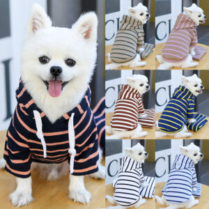 Dog Hoodies
