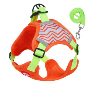orange Dog Harness For Small Dogs