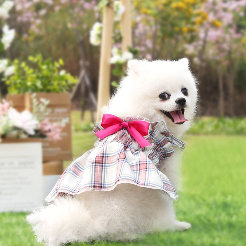 dog dress
