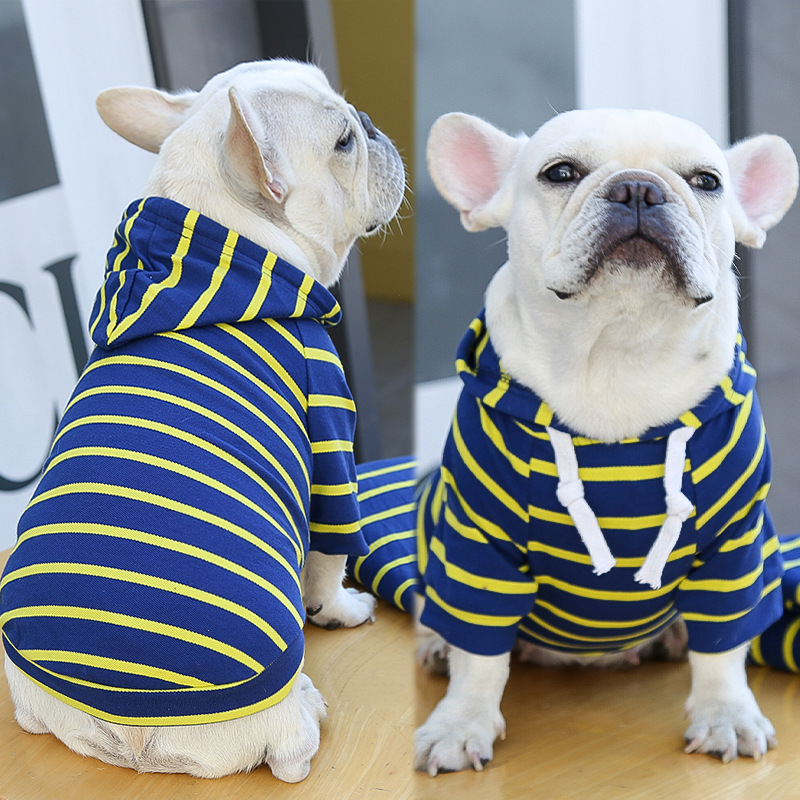 dog hoodie