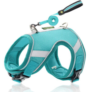 Designer Dog Harness with leash set