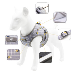 big dog harness