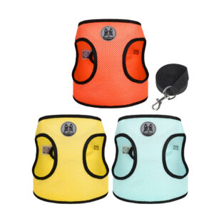 colorful Dog Harness Gooby 