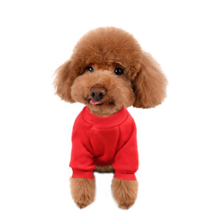 winter Small Dog Clothes 