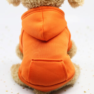 orange  Dog hoodie 