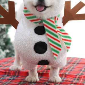 Christmas Clothes For Dogs for winter 