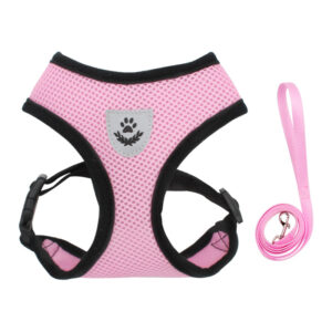 XXX SMALL dog harness