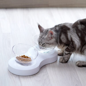 Shallow Cat Bowl​ 