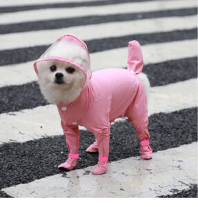pink Weenie Dog Raincoat​
