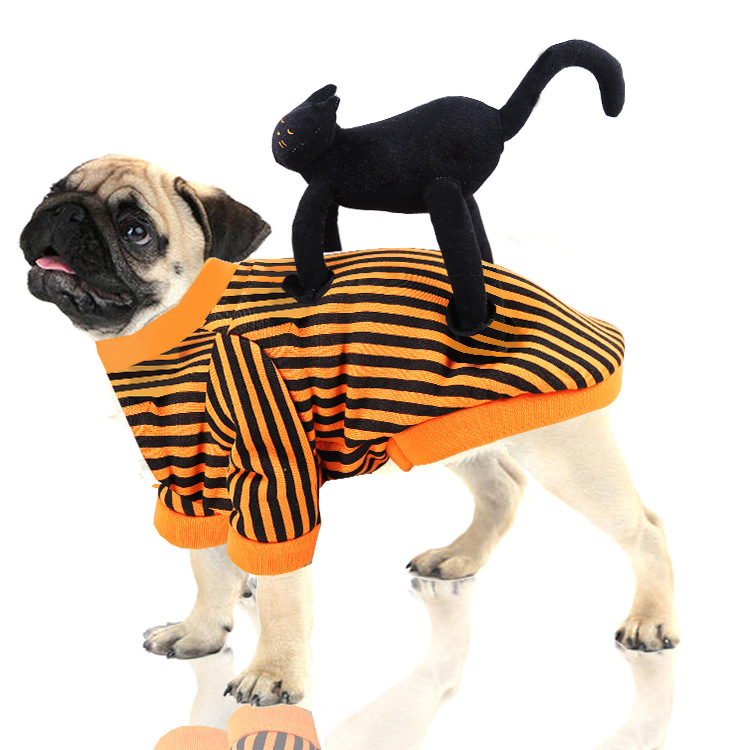 Halloween dog clothes