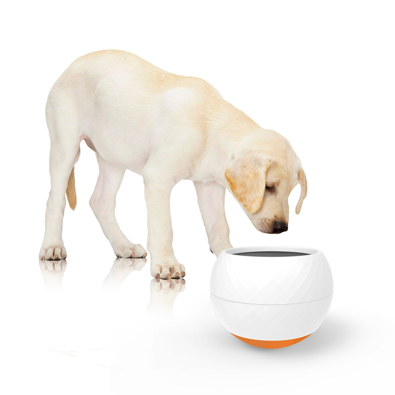 pet feeder