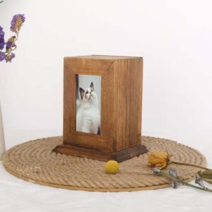 cat urn