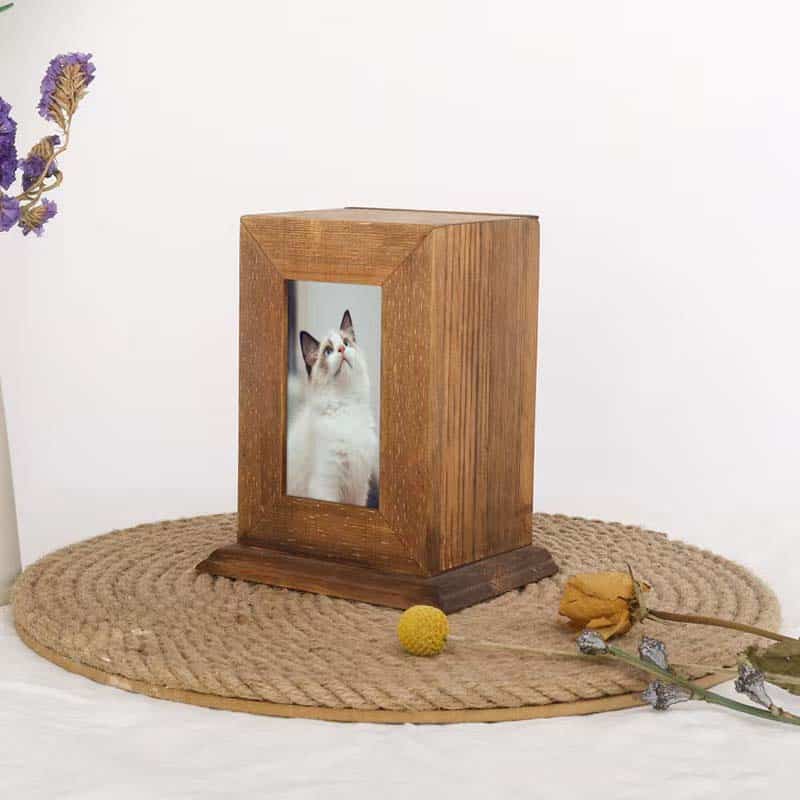cat urns