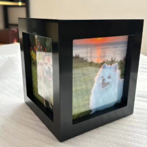 animal urns for dogs