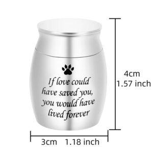 pet ashes urn