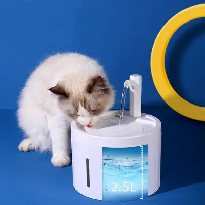 cat water fountain