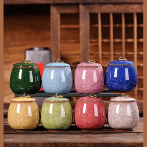 colorful cat urns