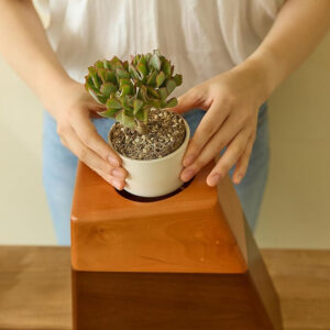 dog urn for ashes with plant