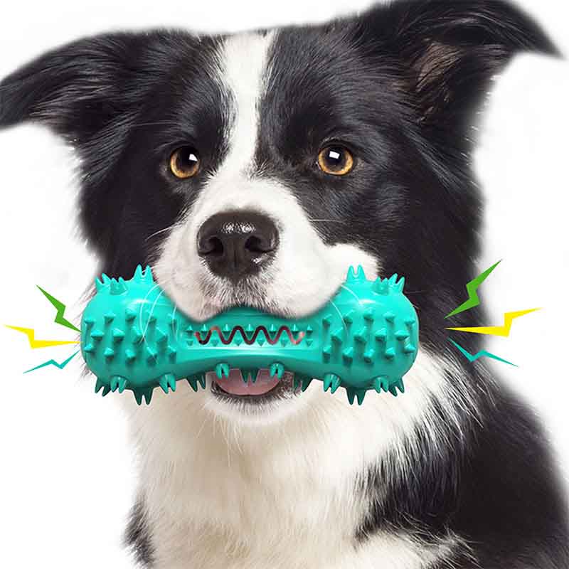 Best Dog Toys For Aggressive Chewers