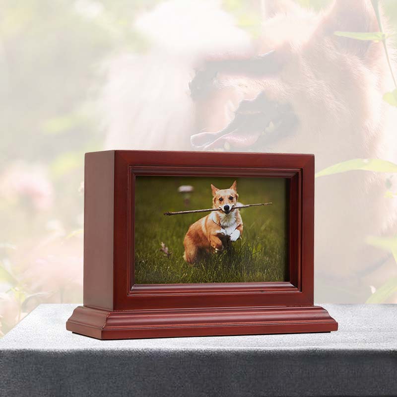 pet ashes urn