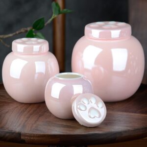cat ashes urn