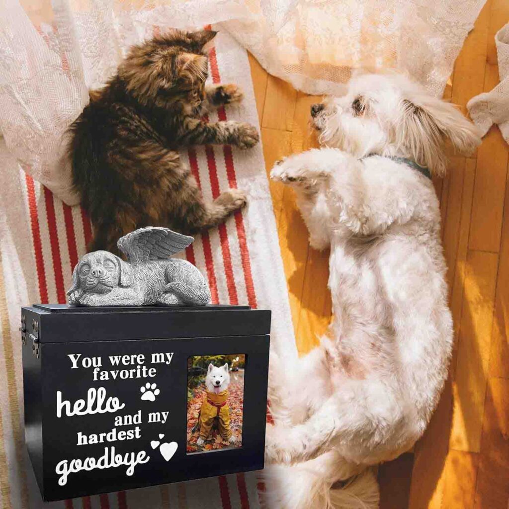pet urns